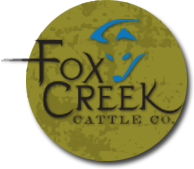 Double Mule Shoe Ranch & Fox Creek Cattle Co. - Centennial Wyoming